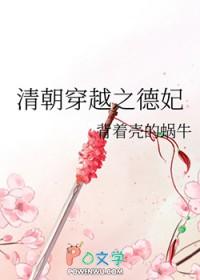 清朝穿越之德妃